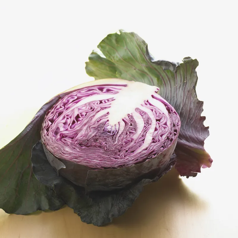 Repollo Morado